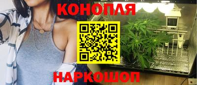гидра Беслан