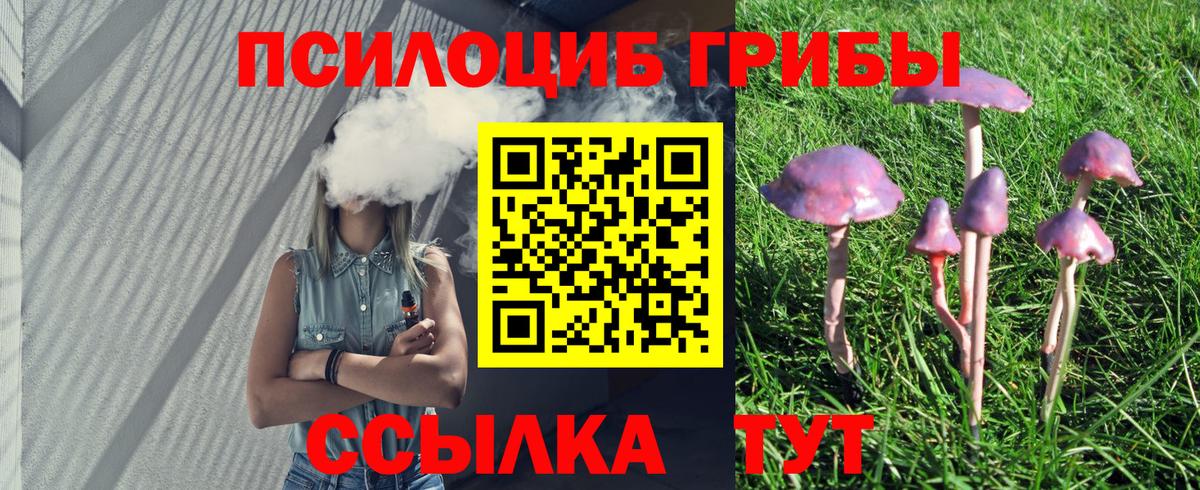 Псилоцибиновые грибы Psilocybe  Галлюциногенные грибы мицелий  Карталы  Вход с VPN 