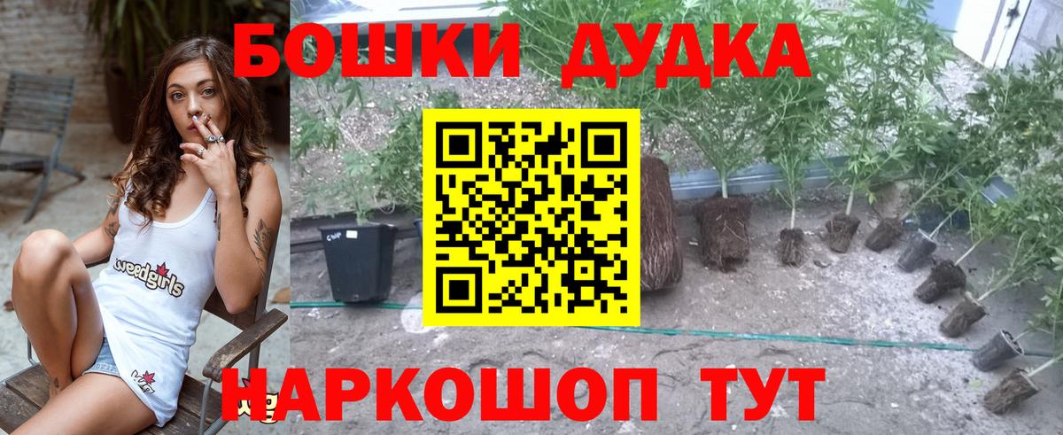 Канабис Bruce Banner  Каннабис LSD WEED  Канабис семена  Карталы  Вход с VPN 